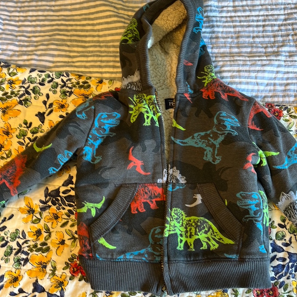 Sherpa lined dinosaur print hoodie. GUC